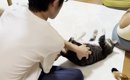 息子に転がされる猫→自分から何度も戻ってきて…ほっこりする『可愛す…