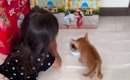 『死にそうだったから』とパパが連れ帰った子猫→子供たちと少しずつ距…