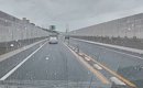 車の運転中、道路の端に『小さな子猫』を発見…驚きの瞬間と保護された…