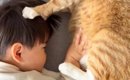 一緒に昼寝をしていた『猫と子ども』がお互いに…ニヤニヤが止まらない…