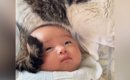 赤ちゃんのことを見たら、『頭の上』で元野良猫が…あまりにも尊い『優…