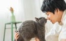 猫が『尊敬している人』にだけみせるサイン5選　リスペクトされる人の…