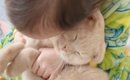 小さな女の子に『ぎゅっと抱きしめられる猫』→頬をすりすりされると……