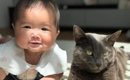 仲良く並んでいた『赤ちゃんと猫』を撮影すると…あまりにも尊い『奇跡…