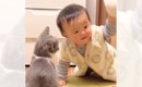 お互い0歳だった猫と赤ちゃん…成長した『2人の姿』が微笑ましすぎると…