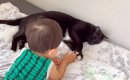 小さな男の子と一緒にお昼寝しようとする黒猫→ちょっかいを出されると…
