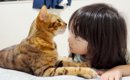 触ると噛みつく凶暴な猫に5歳の女の子が近づくと……素敵なやり取りの様…