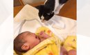 『生まれたばかりの赤ちゃん』がお家にやって来ると…『猫の行動』が素…