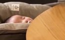 『赤ちゃんの泣き声』が聞こえて急いで戻った結果→そばにいたのは…「…