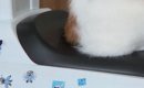 ふと子供用の『車のおもちゃ』を見たら、ネコが……可愛すぎる光景に「…
