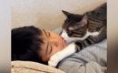 高熱を出して『寝込んでいる男の子』に……猫が見せた『普段とは違う姿…