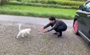 『キャンプ場で出会った猫』が懐いたと思ったら…コントすぎる『まさか…