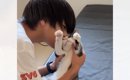 横になってくつろいでいた猫のもとに息子が近づいていくと…『されるが…