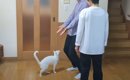 ママが『おいで』と言うと飛び乗ってくる猫→パパが呼んでみると…想定…