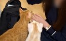 妹が泊まりにやって来ると、家にいた『2匹の猫』が…可愛くてたまらな…