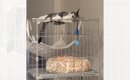 ケージから降りられず『助けを求めていた猫』→すぐには行けなかった結…