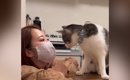 飼い主が『布マスク』をつけて待っていると…猫がとった『まさかの行動…