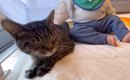 大好きな優しい猫を発見した赤ちゃん→『急接近』して……胸がいっぱいに…