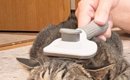 ブラッシングされる猫→正面から『顔』を見てみると…まさかの光景に２…