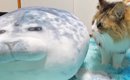 猫に『アザラシのぬいぐるみ』をあげた結果…10日後の『変わり果てた様…