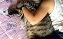 寝ぼけた女の子が猫を『抱き枕』と勘違いした結果…あまりにも尊い『ま…