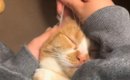 ネコに『痛かったら左手挙げてくださーい』と伝えた結果…耳掃除中の『…
