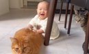 テーブルの下に集まっていた赤ちゃんと猫→赤ちゃんの『手元』を見ると…