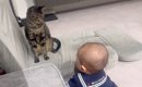 赤ちゃんにロックオンされた猫→次の瞬間『可愛すぎる行動』に……思わず…