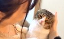 大好きなママが帰ってきて『嬉しくて仕方がない猫』…どこまでも後をつ…