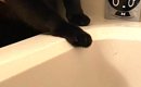 浴槽のふちで『背中に手を添えられた黒猫』→表情を見ると……笑える瞬間…