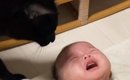 泣きじゃくる赤ちゃんに『黒猫』がとった行動とは……？『妹思いな姿』…