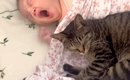 生まれたばかりの赤ちゃんに寄り添って眠る猫→次の瞬間、猫のぬくもり…