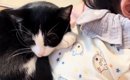 『家のことしないといけないのに…』ママの膝の上を見ると→猫と赤ちゃ…