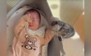 赤ちゃんを興味津々に見つめる子猫→ぐずり始めそうになると…ほっこり…