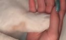 毛布をかけてもらった猫→飼い主と手をつないで…愛おしい光景に「可愛…