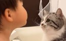 顔を近づけてキスをしようとしてきた子どもに……猫が見せた『優しすぎ…