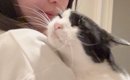 飼い主さん帰宅→抱っこされた猫の『おてて』を見てみると……キュンとす…
