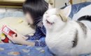 娘が寝ようとすると、ベッドの上に猫がやって来て…まさかの『羨ましす…