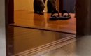 外が暗くなると、2匹の猫が玄関に並んで…『飼い主の帰りを待つ様子』…