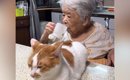 おばあちゃんが口をゆすごうとしたら、『目の前にいた猫』が…ハプニン…