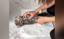 タオルの上に寝かされる子猫→タオルで包んでみると……『可愛すぎる光景…