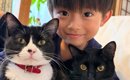 猫たちと並んだ『5歳の男の子』→見比べてみると…思わず二度見する『そ…