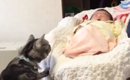赤ちゃんをやさしく見守る実家の猫→『５年後』、久しぶりに対面すると…