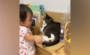 赤ちゃんから『ニャンニャン』と声をかけられた猫→反応が……77万再生の…