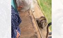 大好きなおばあちゃんが出かけようとすると、猫が…『幸せ溢れるやり取…