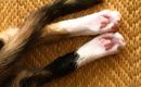 アイスコーヒーをいれて戻ったら、『子猫』が…想定外な『可愛すぎる行…