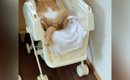 ベビーラックに赤ちゃんの様子を見に行くと、猫が…14万再生の『つい笑…