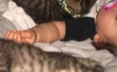 すやすやと眠る『赤ちゃん』→そばには『子猫たち』がいて…涙が出るほ…