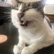 ラブ画像