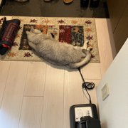 れお画像